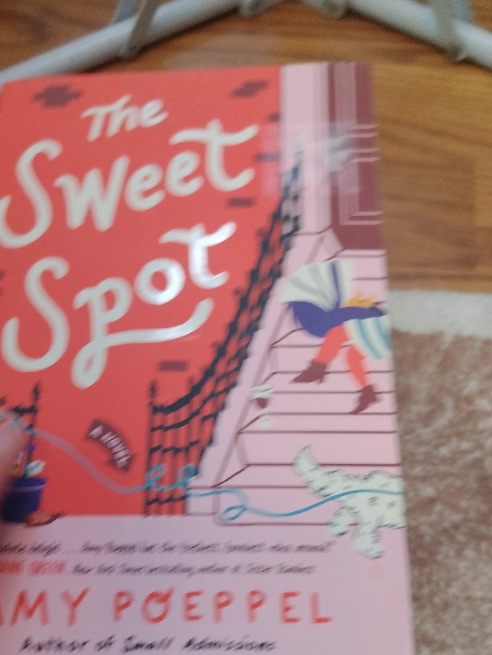 The Sweet Spot Paperback Book - Coral Pink Cover